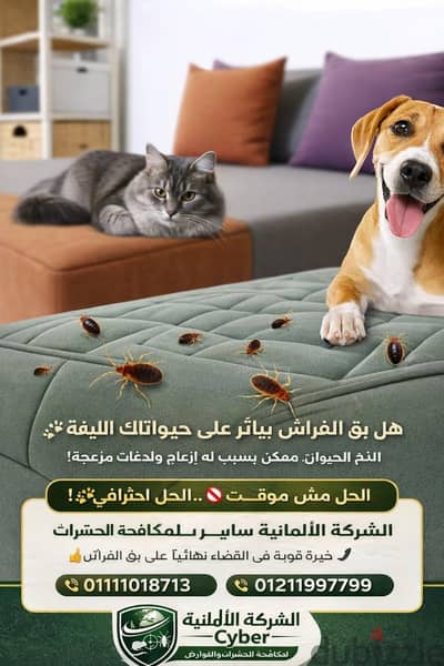 مكافحه جميع انواع الحشرات صراصير والنمل وبق الفراش والفئران والابراص