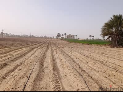 للبيع قطعه استراتيجيه  استثماريه صناعية زراعيه  علي ممر اللوجستيات