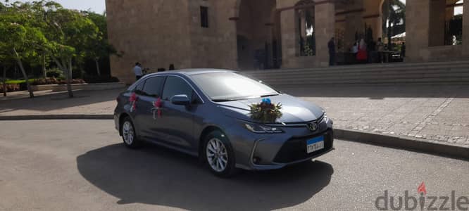 المعادى