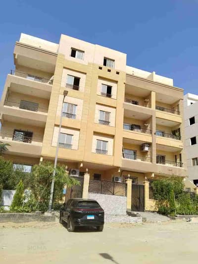 شقه لقطه ف الاندلس 2 تاني نمره من التسعين الجنوبي وقطاميه ديونز