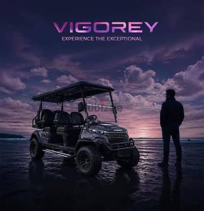 Vigorey Brand New With Best price