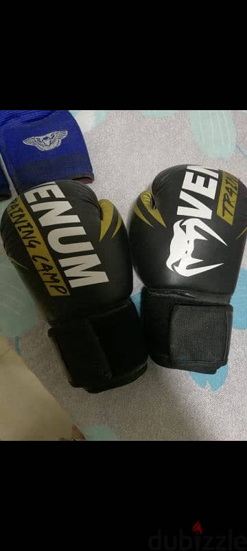 Boxing gloves