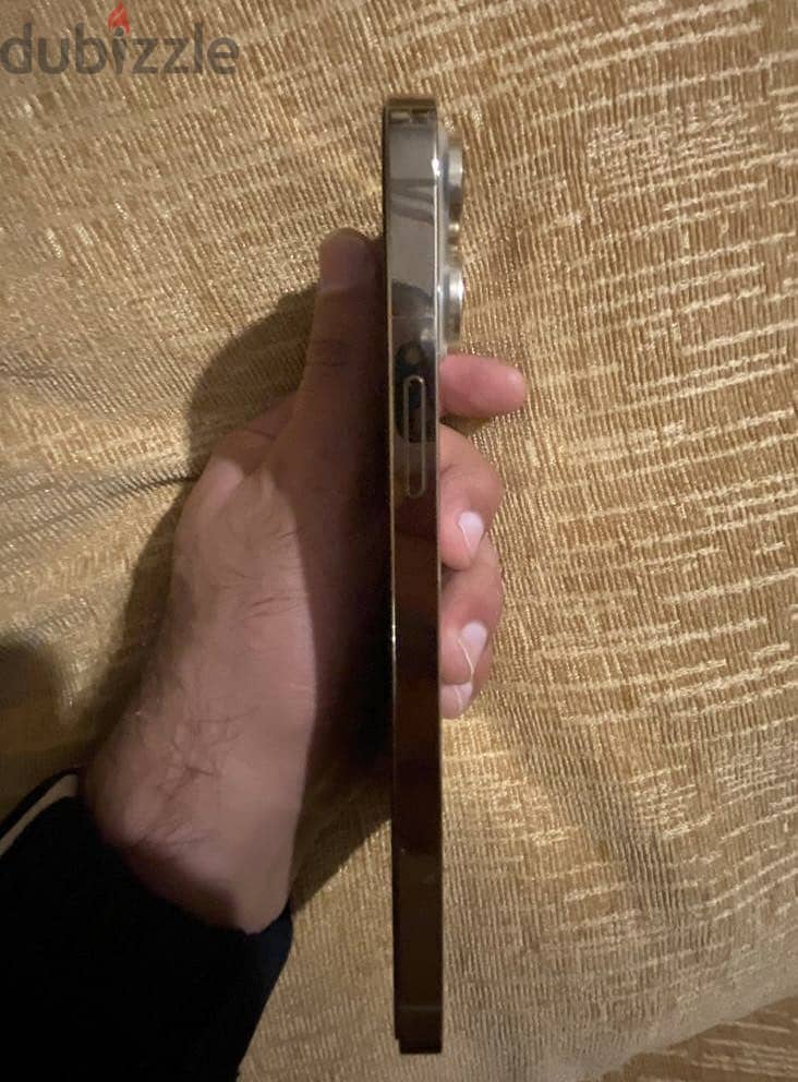 iPhone 13 Pro Max 1