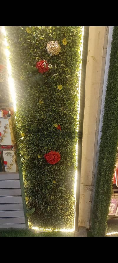 الاسكندريه العامريه