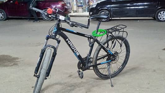 الاسكندرية