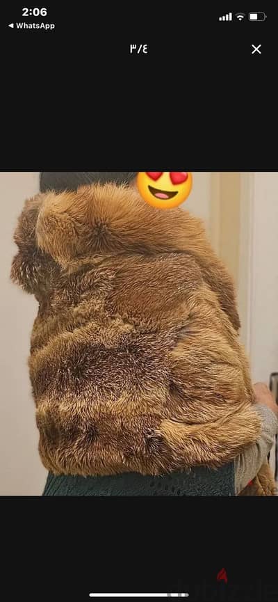 شال فرو تعلب طبيعي