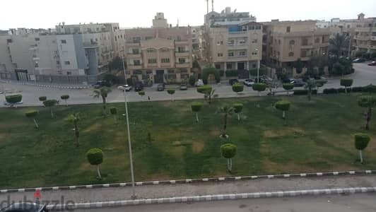 رووف قانوني للبيع