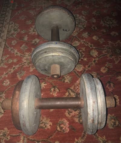 Adjustable Dumbbell Set