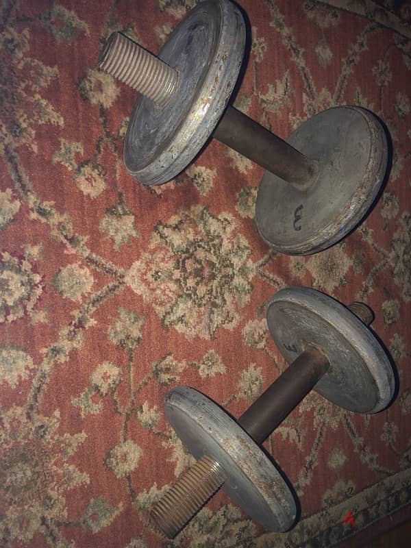 Adjustable Dumbbell Set 4