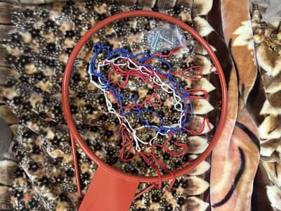 Basketball rim