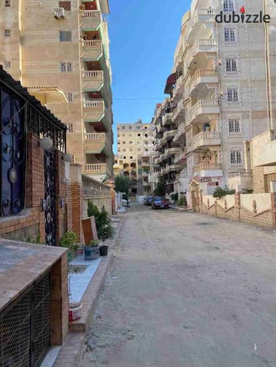 Luoqat apartment in a prime location in Al-Nakhil, suitable for residential and investment, view, finishing, and location