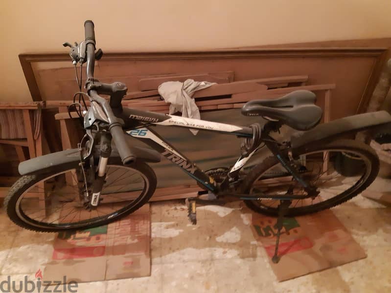 Trinx Bicycle 2