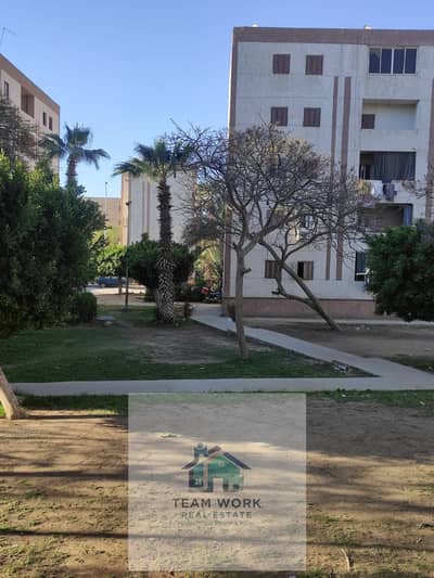 ارخص شقة بسعر لقطة بمدينة الشيخ زايدCheapest apartment at a bargain price in Sheikh Zayed City