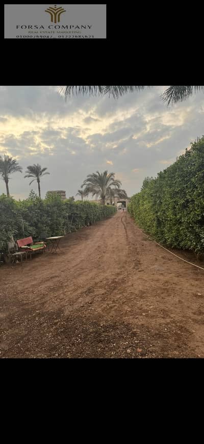 Code 245  Unmissable opportunity to buy a 15,000 square meter plot of land in Tanta on the highway. It includes 1,000 square meters of five-story buil