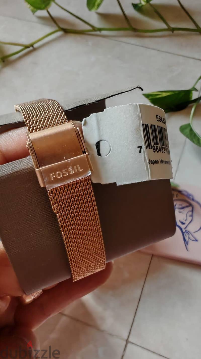 FOSSIL ORIGINAL  FROM  USA 2