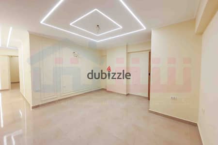 Office space for rent, 70 sq m, Saba Pasha - directly on the tram line