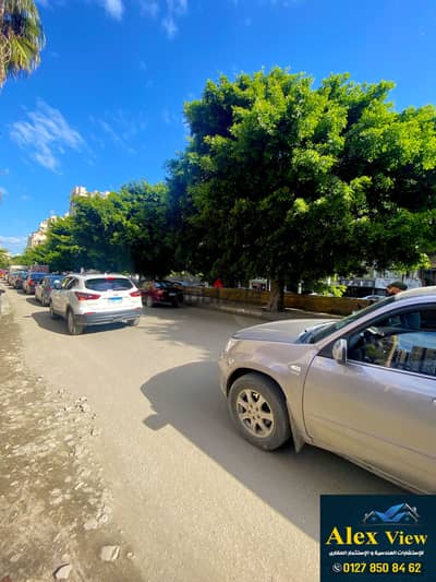 للبيع صيدليه مجهزه بالكامل مرخصه في رشدي شارع المعسكر الروماني