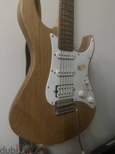 Electric Guitar