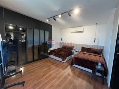 Luxury Furnished studio in Palm Parks-Palm Hills