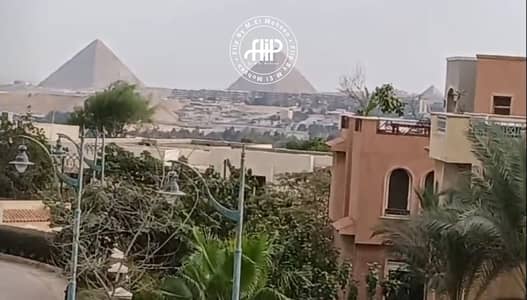 Apartment For Rent In City View
