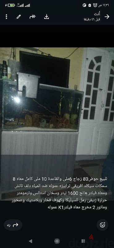 حوض سيكلد افريقى 01145547364