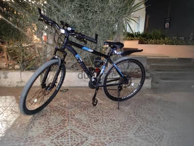 trinx m 500 pro size 29
