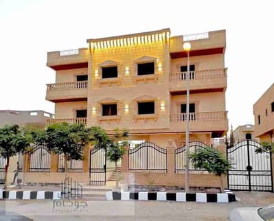 The Distinguished Neighborhood of Badr City