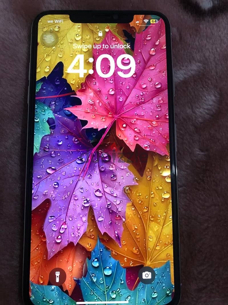 Xs Max 256g 1