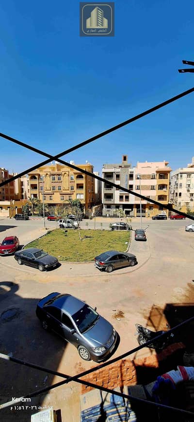 Surprise in Gardenia Heights, Fifth Settlement.
