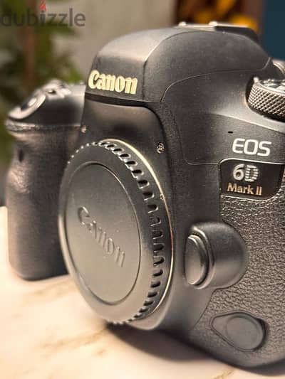 Canon 6D Mark II + Canon 24 - 105 lens