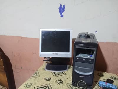 دمياط الجديده