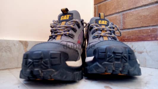 Cat shoose