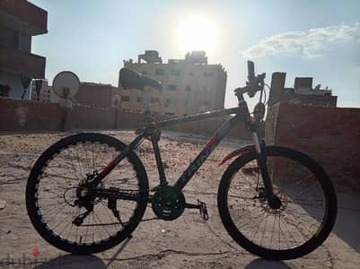 القاهرة - عين شمس