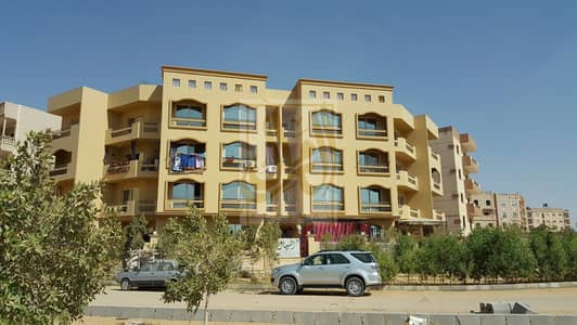 A distinctive duplex for sale in Al Shorouk