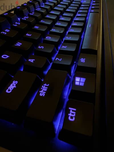 Razer Blackwidow v3