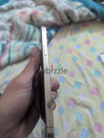 Ipone 12 pro max