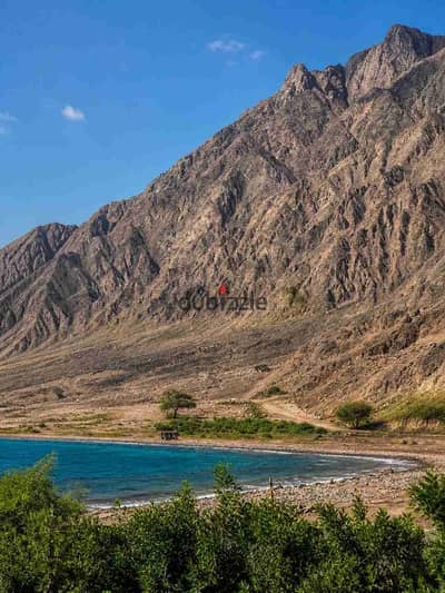 غرفة فندقية للايجار في نويبع