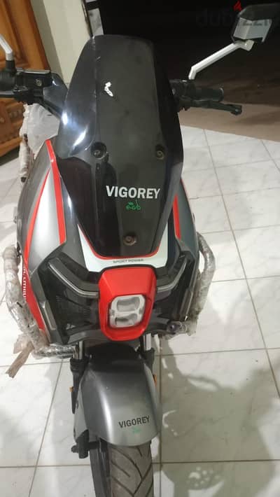 Vigorey بطاريه ليثيوم 3000