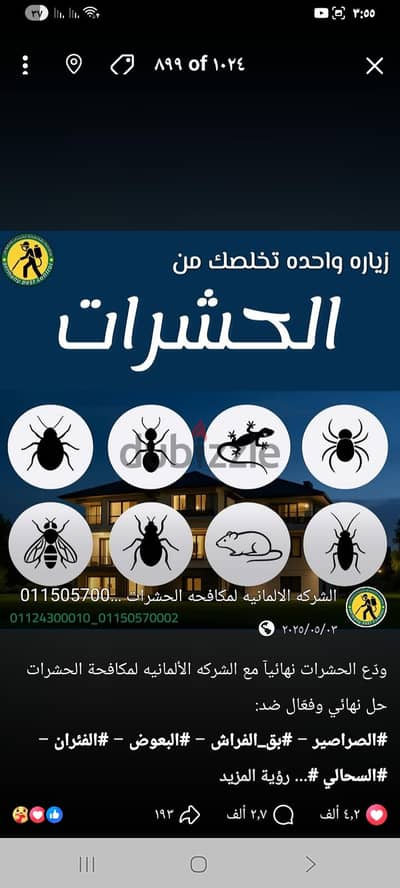 رش حشرات للمنازل مواد امنه بدون ريحه