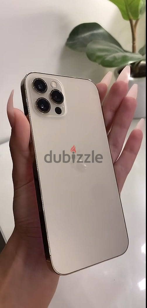 Gold iPhone 12 Pro 2