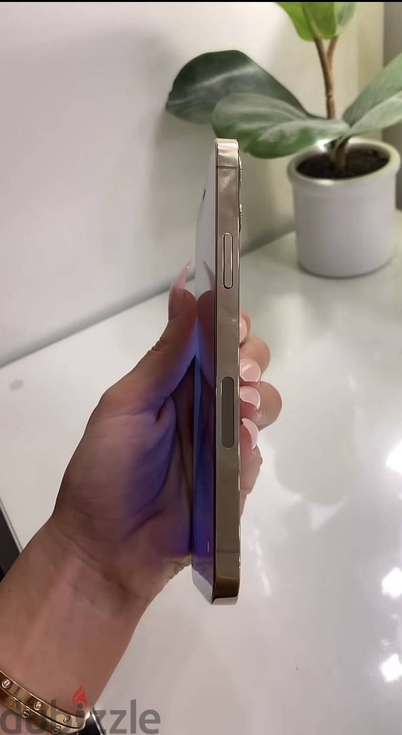 Gold iPhone 12 Pro 3