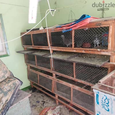محافظه البحيره. . ايتاى البارود. . كفر خليفه الناقورى