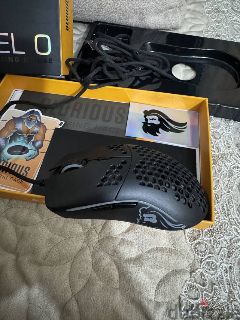 Mouse 1