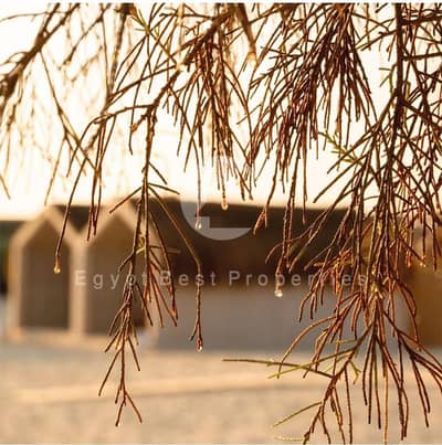 Penthouse chalet, 120 sqm, directly overlooking the largest lagoons, with a 600k down payment and installments over 9 years.