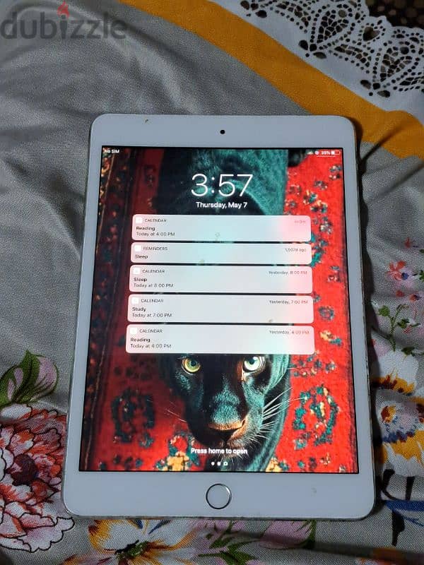 iPad mini 3 2