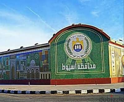وسط أسيوط تفرعات  يسري  راغب