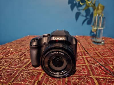 Lumix FZ-80 digital camera