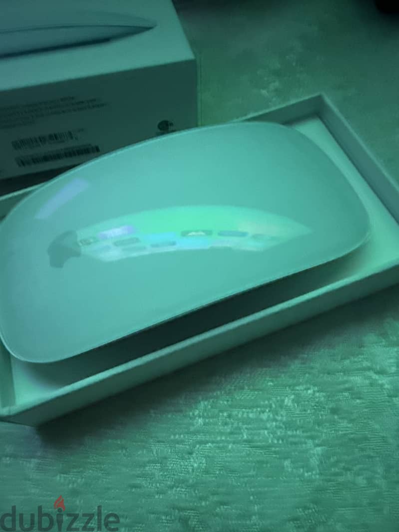 Magic mouse 1
