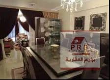 شقه مفروشه للايجار ف العصافره 3 نمره بحر / بفيو جانبى
