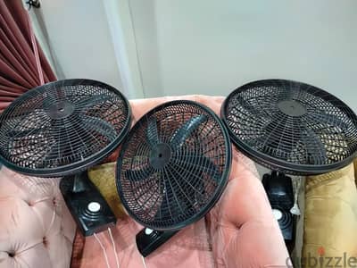 الاسكندرية